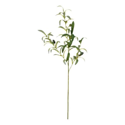 productHero-SPOTWF-BP80655559-green