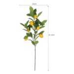 productHero-SPOTWF-BP80655564-green