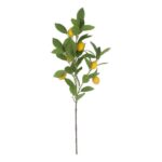 productHero-SPOTWF-BP80655564-green-2