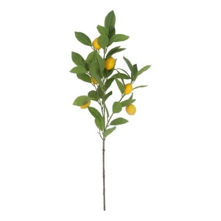 productHero-SPOTWF-BP80655564-green-2