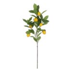 productHero-SPOTWF-BP80655564-green-4