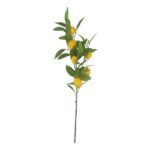 productHero-SPOTWF-BP80655564-green-5
