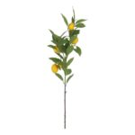 productHero-SPOTWF-BP80655564-green-6