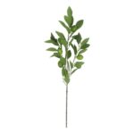 productHero-SPOTWF-BP80655565-green-2
