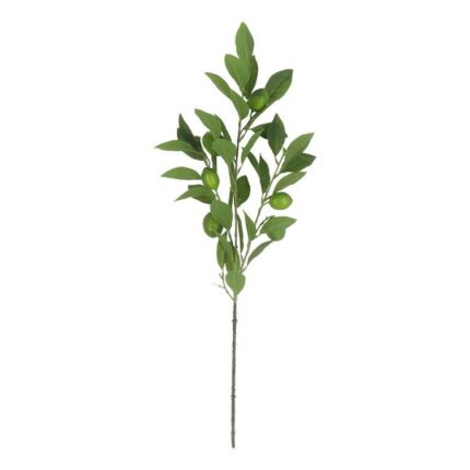 productHero-SPOTWF-BP80655565-green-2