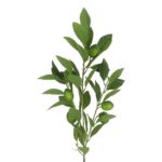 productHero-SPOTWF-BP80655565-green-3