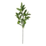 productHero-SPOTWF-BP80655565-green-4