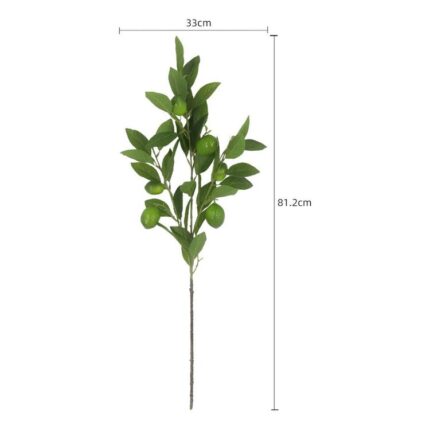 productHero-SPOTWF-BP80655565-green