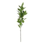 productHero-SPOTWF-BP80655565-green-5