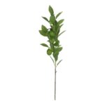 productHero-SPOTWF-BP80655565-green-6