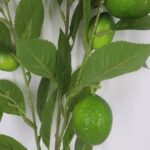 productHero-SPOTWF-BP80655565-green-7