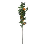 productHero-SPOTWF-BP80655566-green-5
