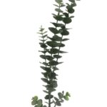 productHero-SPOTWF-BP80655567-grey-3