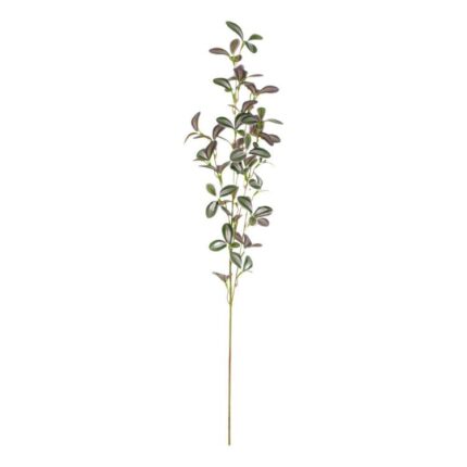 productHero-SPOTWF-BP80655569-green