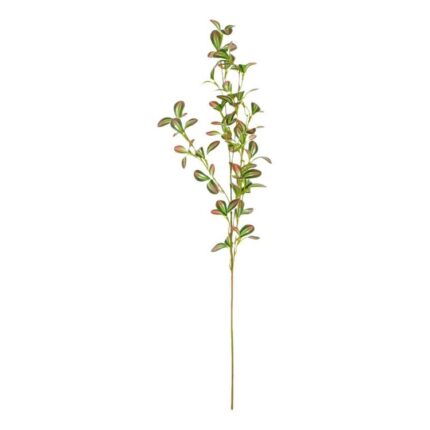 productHero-SPOTWF-BP80655569-red