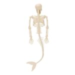 productHero-SPOTWF-BP80656248-multicoloured-2