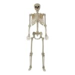 productHero-SPOTWF-BP80656302-multicoloured