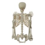productHero-SPOTWF-BP80656302-multicoloured-3