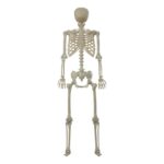 productHero-SPOTWF-BP80656302-multicoloured-4