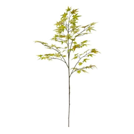 productHero-SPOTWF-BP80656827-green