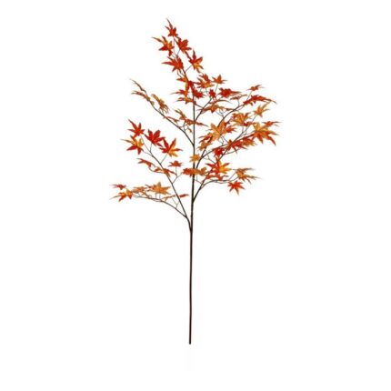 productHero-SPOTWF-BP80656827-orange