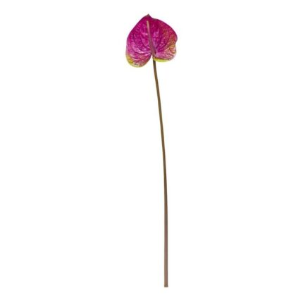 productHero-SPOTWF-BP80656836-blush