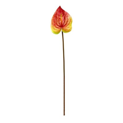 productHero-SPOTWF-BP80656836-orange