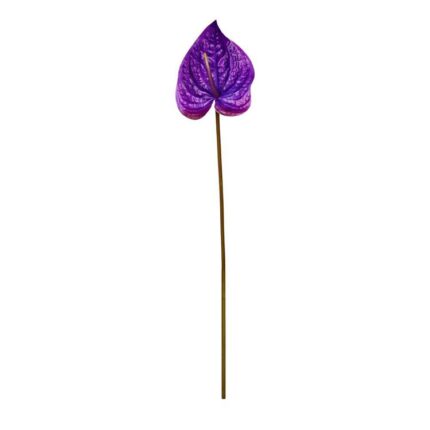 productHero-SPOTWF-BP80656836-purple