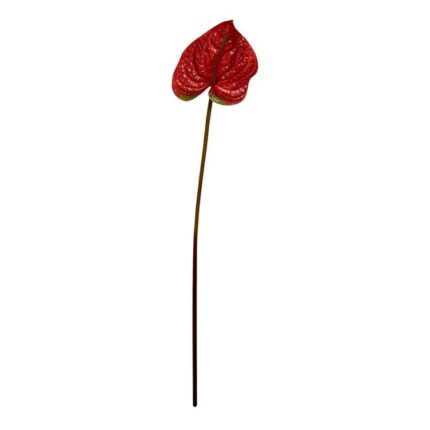 productHero-SPOTWF-BP80656836-red