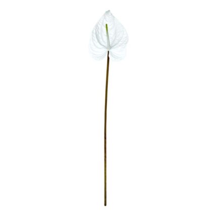 productHero-SPOTWF-BP80656836-white