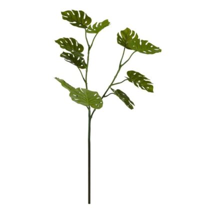 productHero-SPOTWF-BP80656841-green