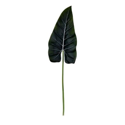 productHero-SPOTWF-BP80656845-green