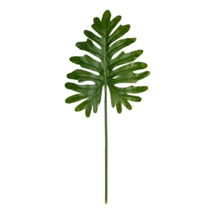 productHero-SPOTWF-BP80656847-green