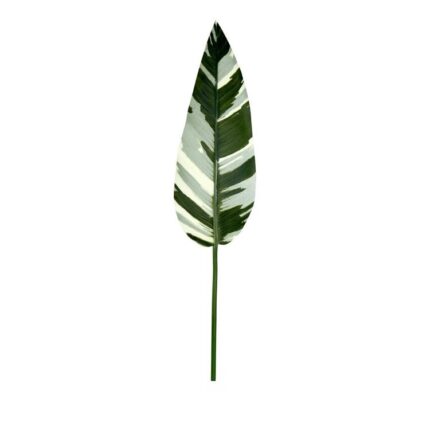 productHero-SPOTWF-BP80656848-green