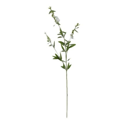 productHero-SPOTWF-BP80656874-white