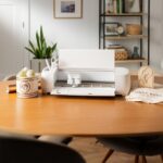productHero-SPOTWF-BP80657404-seashell-5