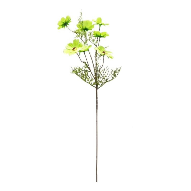 productHero-SPOTWF-BP80658110-green productHero-SPOTWF-BP80658110-green