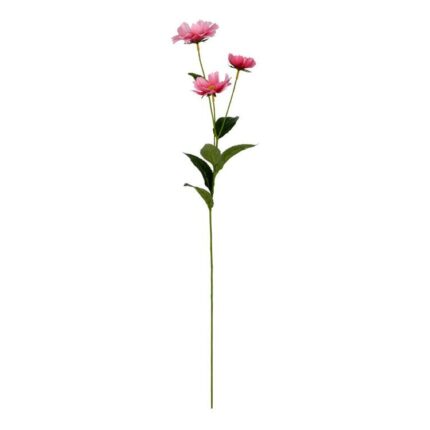 productHero-SPOTWF-BP80658110-pink