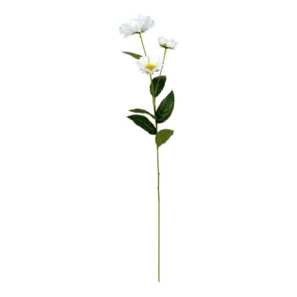 productHero-SPOTWF-BP80658110-white