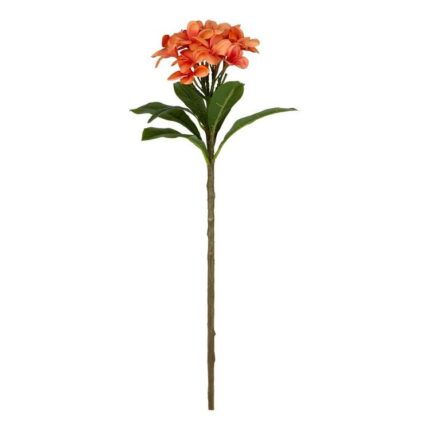 productHero-SPOTWF-BP80658115-orange