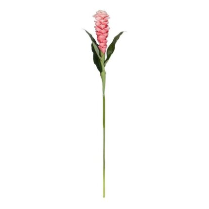 productHero-SPOTWF-BP80658125-pink