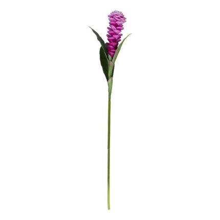 productHero-SPOTWF-BP80658125-purple