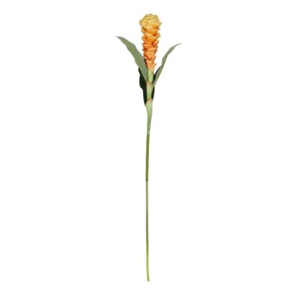 productHero-SPOTWF-BP80658125-yellow