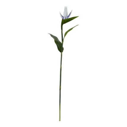 productHero-SPOTWF-BP80658128-purple