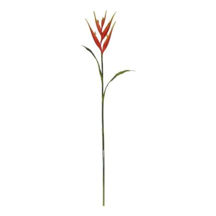 productHero-SPOTWF-BP80658130-red