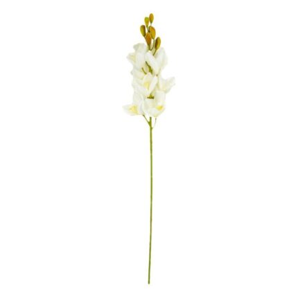 productHero-SPOTWF-BP80658682-white