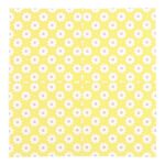 productHero-SPOTWF-BP80658701-daisy-2