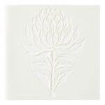 productHero-SPOTWF-BP80658815-botanical-5