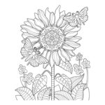 productHero-SPOTWF-BP80659847-mandala-2