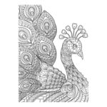 productHero-SPOTWF-BP80659849-animals-4